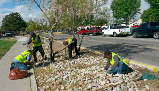 Homelessness: An Innovative Approach from Albuquerque, NM