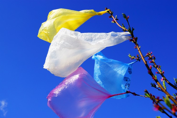 Prop 65 - Plastic Bag Fees to Wildlife Conservation Board