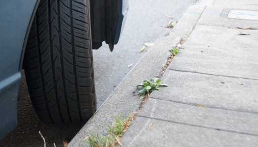 Parking: How to Curb Your Wheels on San Francisco’s Hills