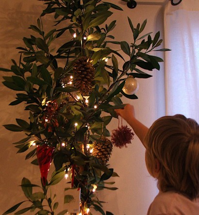 Adopt a Living Tree - Environmentally-Friendly Christmas Trees